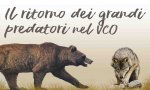 Ornavasso
Serata dedicata al ritorno di orso e lupo nel VCO