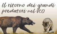 Ornavasso
Serata dedicata al ritorno di orso e lupo nel VCO