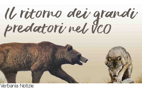 Ornavasso
Serata dedicata al ritorno di orso e lupo nel VCO