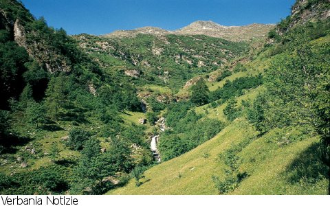 Loreglia
Incontro Prefettura per emergenza Valle Strona