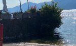 Verbania
I Giovanniti puliscono il porto di Intra