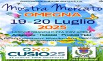 Omegna
Mostra Mercato
