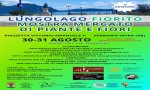 Verbania
Lungolago fiorito