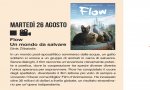 Verbania
Ci Vediamo al Cadorna - Flow un Mondo da Salvare