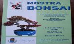 Vignone
Mostra Bonsai