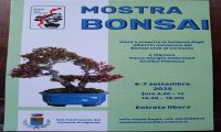 Vignone
Mostra Bonsai