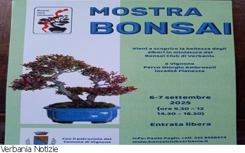 Vignone
Mostra Bonsai