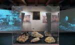 Baveno
Proposte didattiche dai Musei di Baveno e Mergozzo