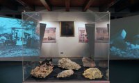 Baveno
Proposte didattiche dai Musei di Baveno e Mergozzo