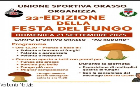 Cursolo Orasso
Festa del Fungo