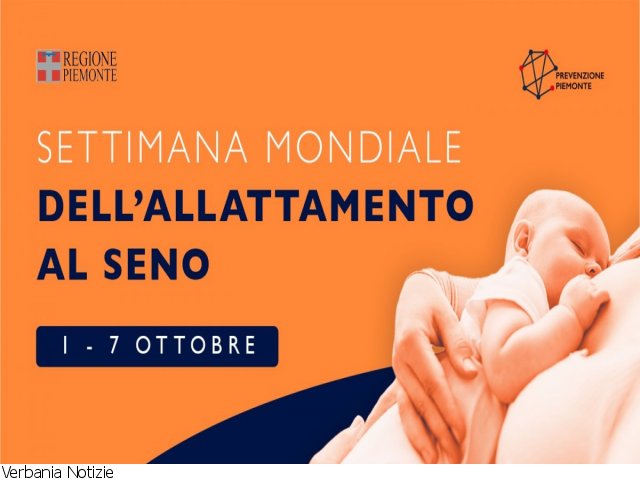 Conchiglie Raccoglilatte Chicco in offerta da