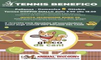 Verbania
"Tennis Benefico"