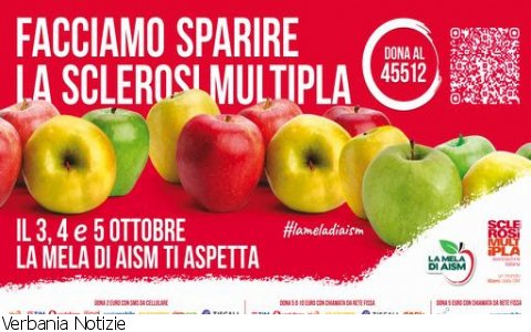 Gravellona Toce
"Mela di AISM"
