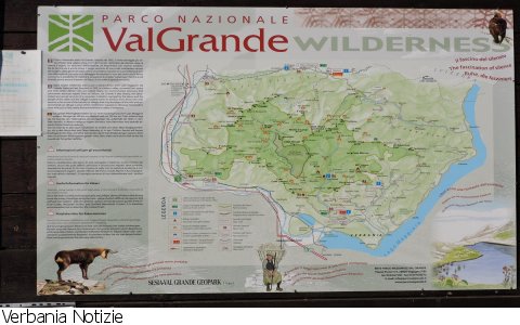 Vogogna
Parco Val Grande: progetto di monitoraggio della fauna selvatica