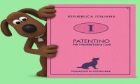 Verbania
Il patentino: corsi di formazione per proprietari di cani
