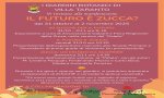 Verbania
Villa Taranto presenta "Il futuro è zucca?"