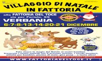Verbania
 Villaggio di Natale in Fattoria