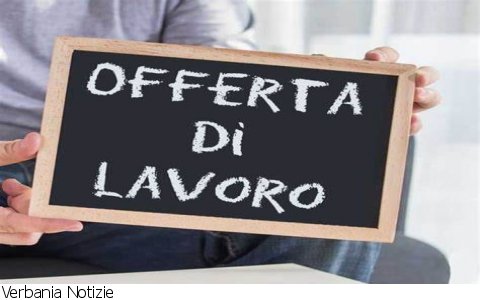 Verbania
Bando per un autista di scuolabus Verbania
Bando per un autista di scuolabus