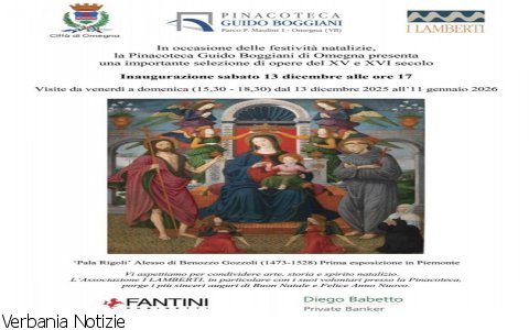 Omegna
Mostra alla Pinacoteca Guido Boggiani