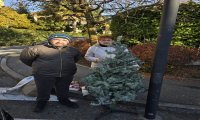 Verbania
Ripristinato l'albero di Natale vandalizzato