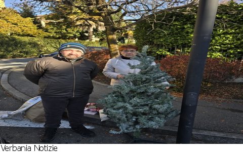 Verbania
Ripristinato l'albero di Natale vandalizzato