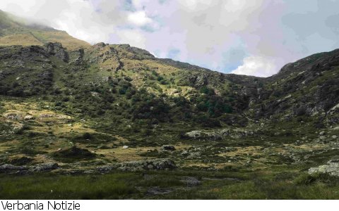 Verbania
Val Grande, telemetria satellitare per monitorare i grandi predatori