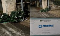 Verbania
Un altro albero di Natale distrutto