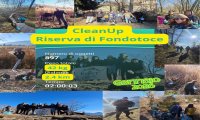Verbania
Pulita la Riserva di Fondotoce
