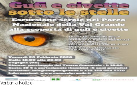 Vogogna
Gufi e civette sotto le stelle