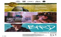 Verbania
Metti Una Sera al Cinema -  Bird