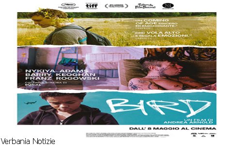 Verbania
Metti Una Sera al Cinema -  Bird
