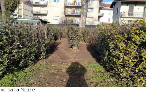 Verbania
Bazzacchi su manutrenzione Parco ex Alpi Giulie