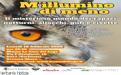Verbania
M'illumino di meno - i rapaci notturni