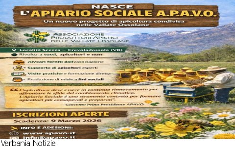 Ossola
“Apiario Sociale”