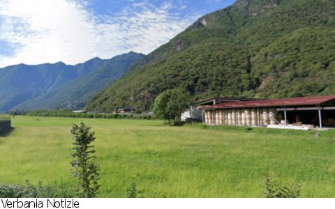 Fuori Provincia
Via libera per l'ospedale a Piedimulera