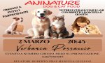 Verbania
"Animatrure"