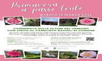 Cambiasca
Primavera a passo lento
