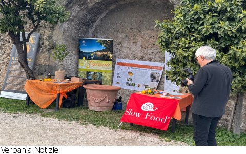 Cannero Riviera
Il Canarone di Cannero nella Biblioteca degli agrumi di Roma