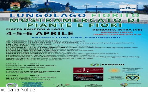 Verbania
Lungolago fiorito