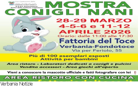 Verbania
Mostra di Conigli Nani Verbania
Mostra di Conigli Nani