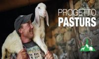 Verbania
Val Grande: Progetto Pasturs