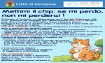Verbania
Verbania al via l’iniziativa per la microchippatura dei gatti