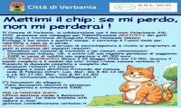 Verbania
Verbania al via l’iniziativa per la microchippatura dei gatti