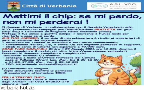 Verbania
Verbania al via l’iniziativa per la microchippatura dei gatti