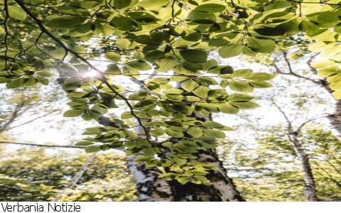 Verbania
"Tempo Imperfetto" con Stefano Montani