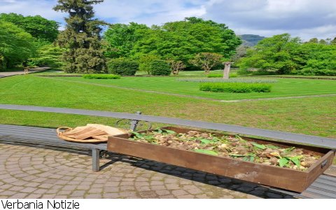 Verbania
Villa Taranto omaggia i visitatori con i bulbi dei tulipani