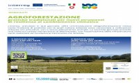 Verbania
Agroforestazione: due giornate col CNR IRSA