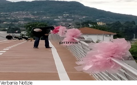 Verbania
Atto vandalico alle decorazioni del Giro