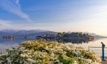 Verbania
Distretto Turistico: approvato bilancio