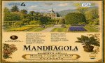 Verbania
Mandragola, a Villa Taranto